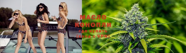 шишки Арсеньев