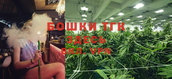 шишки Арсеньев