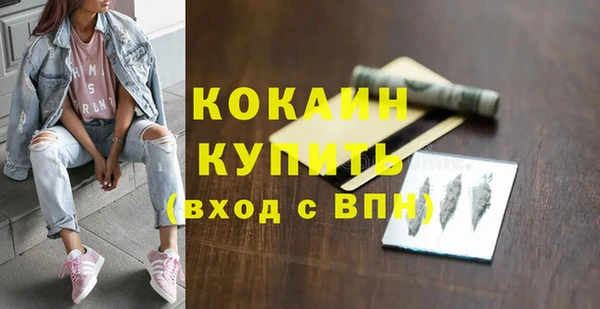 шишки Арсеньев
