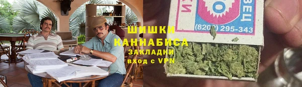 шишки Арсеньев