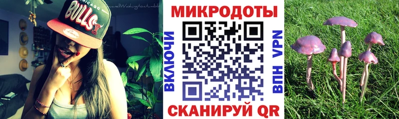 Галлюциногенные грибы MAGIC MUSHROOMS  Приволжск 